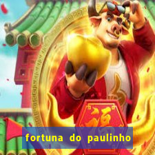 fortuna do paulinho do roupa nova